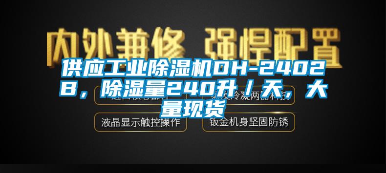 供應(yīng)工業(yè)除濕機DH-2402B，除濕量240升／天，大量現(xiàn)貨