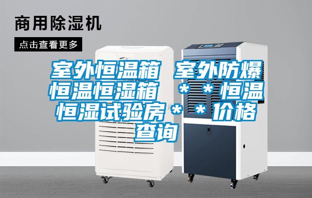室外恒溫箱 室外防爆恒溫恒濕箱 **恒溫恒濕試驗(yàn)房**價(jià)格查詢
