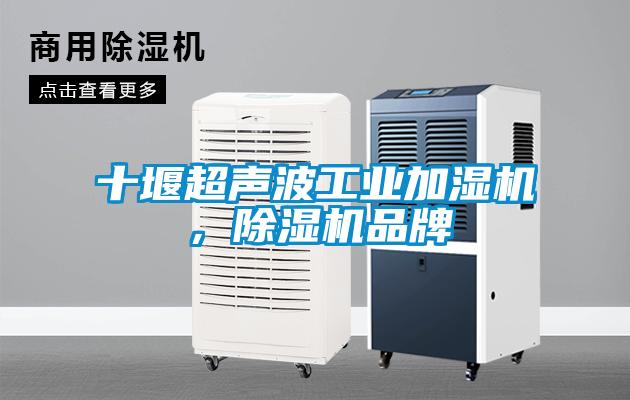 十堰超聲波工業(yè)加濕機(jī)，除濕機(jī)品牌