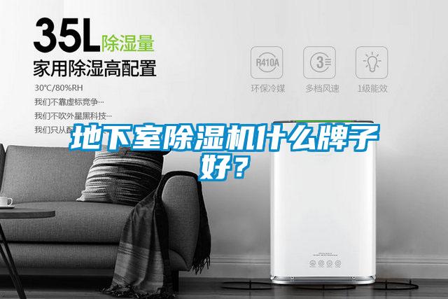 地下室除濕機(jī)什么牌子好？