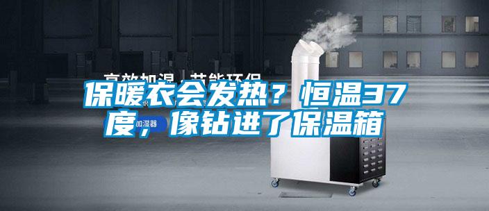 保暖衣會(huì)發(fā)熱？恒溫37度，像鉆進(jìn)了保溫箱