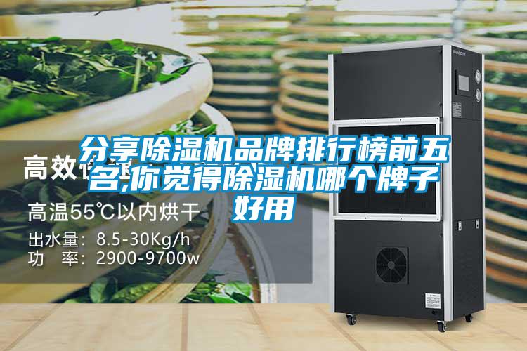 分享除濕機(jī)品牌排行榜前五名,你覺得除濕機(jī)哪個牌子好用