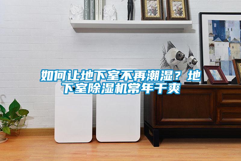 如何讓地下室不再潮濕？地下室除濕機(jī)常年干爽