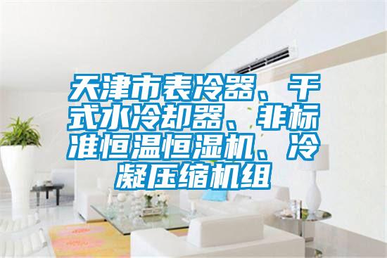 天津市表冷器、干式水冷卻器、非標準恒溫恒濕機、冷凝壓縮機組