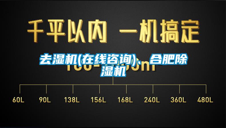 去濕機(在線咨詢)、合肥除濕機