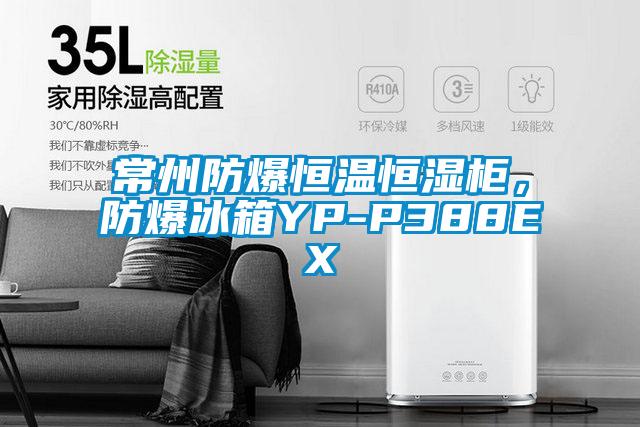 常州防爆恒溫恒濕柜，防爆冰箱YP-P388EX