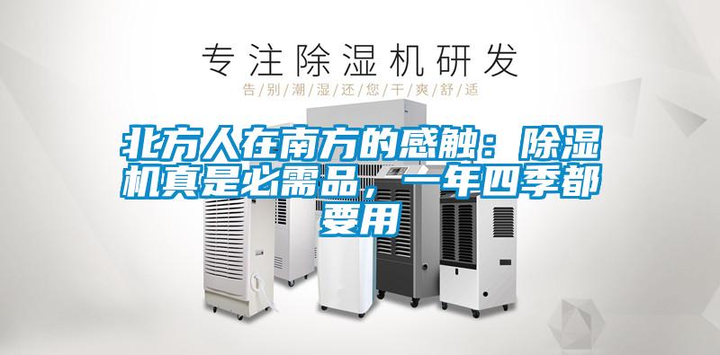 北方人在南方的感觸：除濕機真是必需品，一年四季都要用