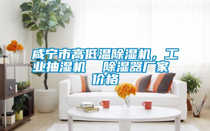 咸寧市高低溫除濕機(jī)，工業(yè)抽濕機(jī)  除濕器廠家 價(jià)格