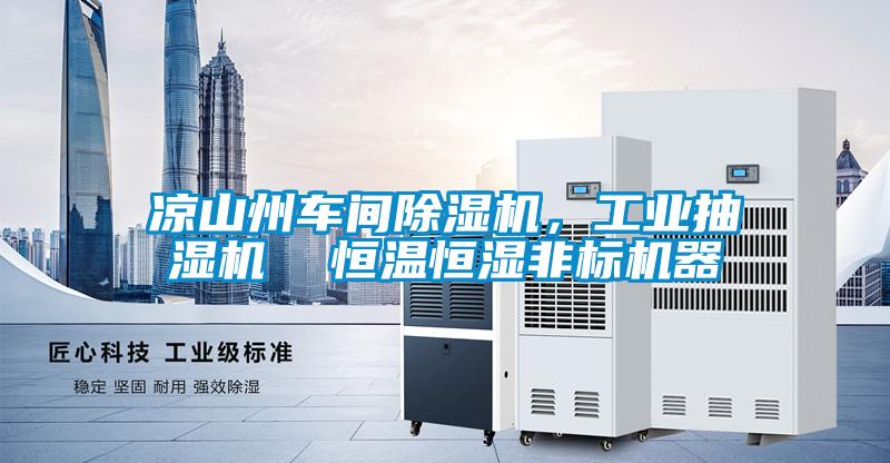 涼山州車間除濕機，工業(yè)抽濕機  恒溫恒濕非標機器