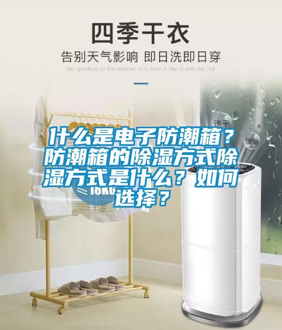 什么是電子防潮箱？防潮箱的除濕方式除濕方式是什么？如何選擇？