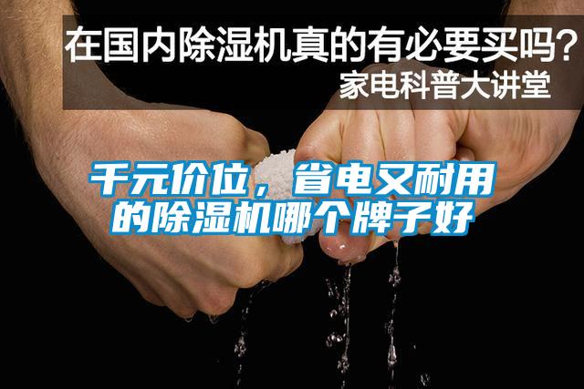 千元價位，省電又耐用的除濕機(jī)哪個牌子好