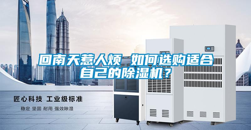 回南天惹人煩 如何選購適合自己的除濕機？
