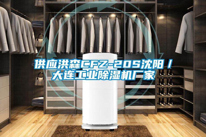 供應(yīng)洪森CFZ-20S沈陽(yáng)／大連工業(yè)除濕機(jī)廠(chǎng)家