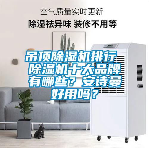 吊頂除濕機(jī)排行 除濕機(jī)十大品牌有哪些？安詩曼好用嗎？