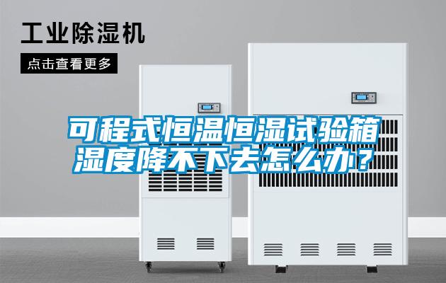 可程式恒溫恒濕試驗箱濕度降不下去怎么辦？