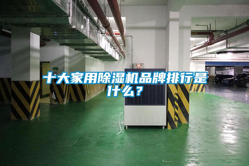 十大家用除濕機(jī)品牌排行是什么？