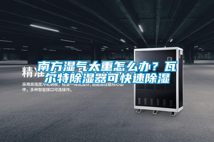 南方濕氣太重怎么辦？瓦爾特除濕器可快速除濕
