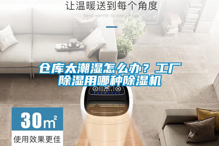 倉(cāng)庫(kù)太潮濕怎么辦？工廠除濕用哪種除濕機(jī)