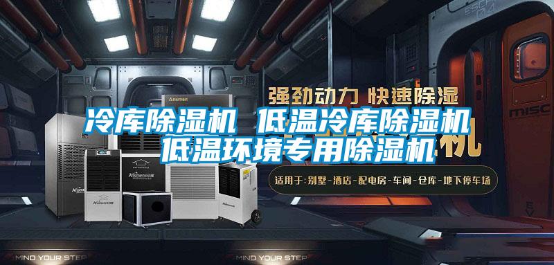 冷庫(kù)除濕機(jī) 低溫冷庫(kù)除濕機(jī) 低溫環(huán)境專用除濕機(jī)