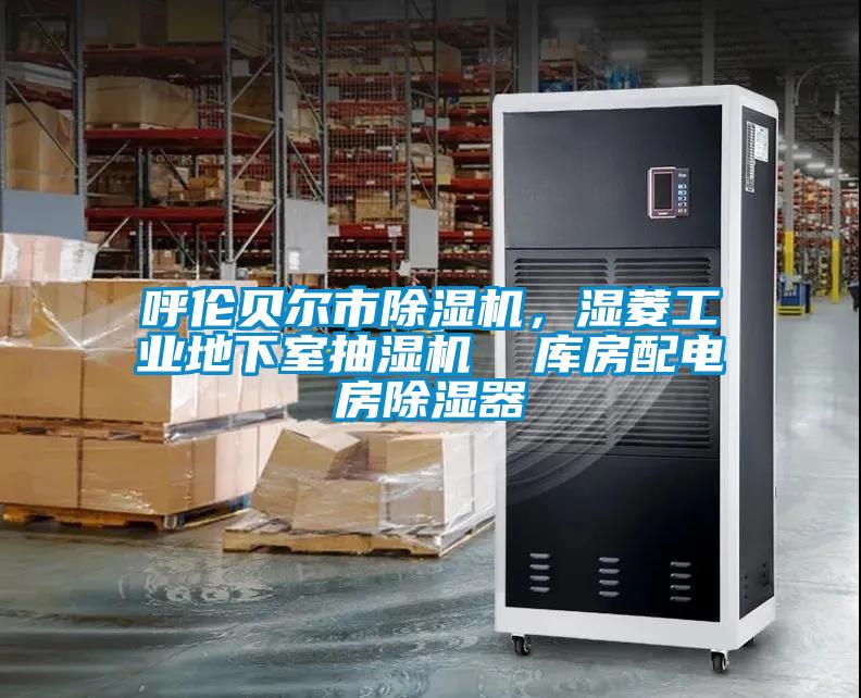 呼倫貝爾市除濕機，濕菱工業(yè)地下室抽濕機  庫房配電房除濕器