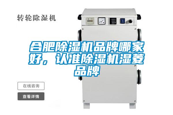 合肥除濕機(jī)品牌哪家好，認(rèn)準(zhǔn)除濕機(jī)濕菱品牌