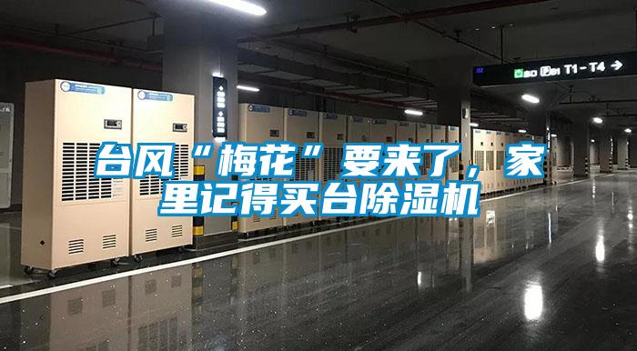 臺風(fēng)“梅花”要來了，家里記得買臺除濕機(jī)