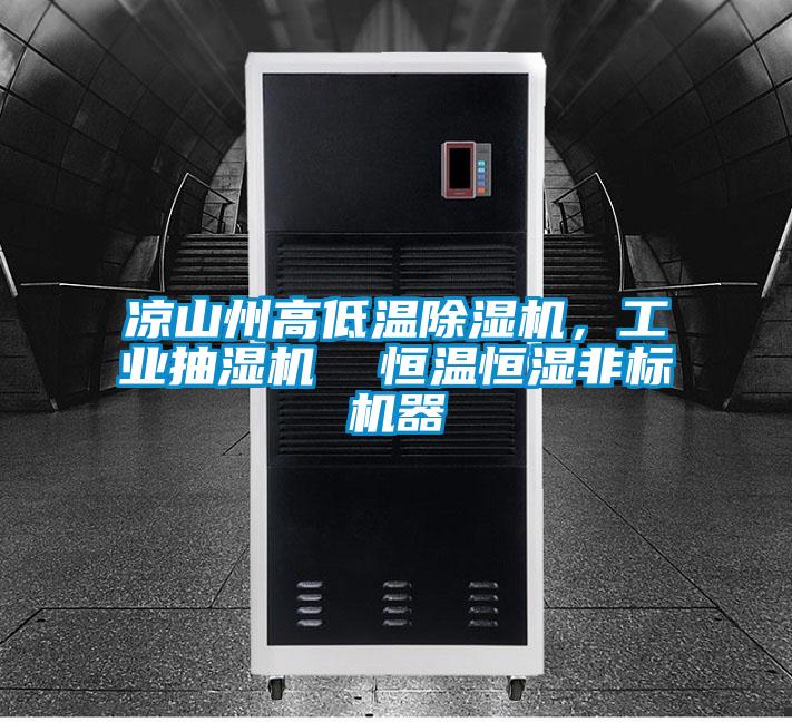 涼山州高低溫除濕機，工業(yè)抽濕機  恒溫恒濕非標機器