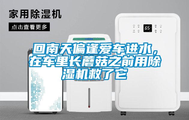 回南天偏逢愛車進(jìn)水，在車?yán)镩L蘑菇之前用除濕機(jī)救了它