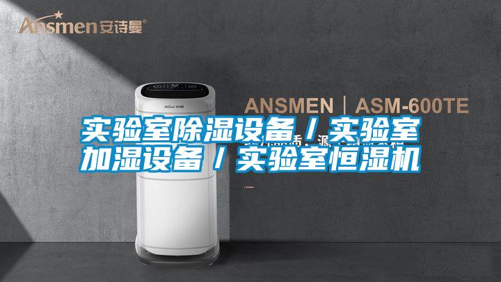 實(shí)驗(yàn)室除濕設(shè)備/實(shí)驗(yàn)室加濕設(shè)備/實(shí)驗(yàn)室恒濕機(jī)