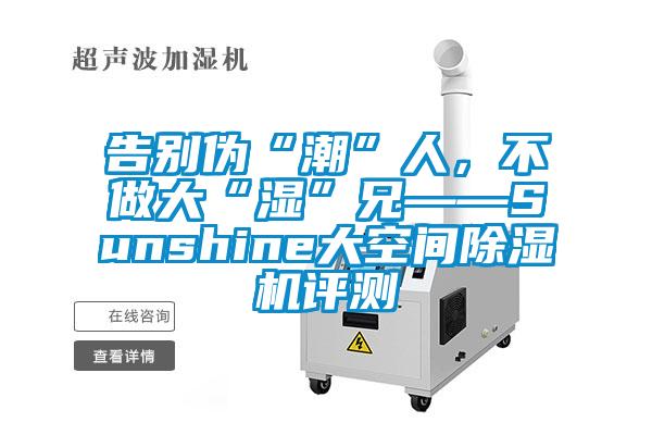 告別偽“潮”人，不做大“濕”兄——Sunshine大空間除濕機評測