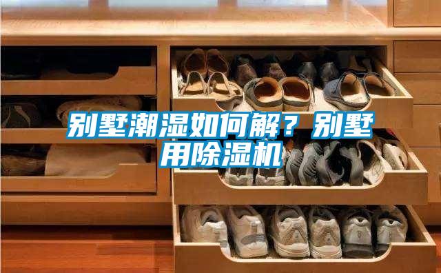 別墅潮濕如何解？別墅用除濕機