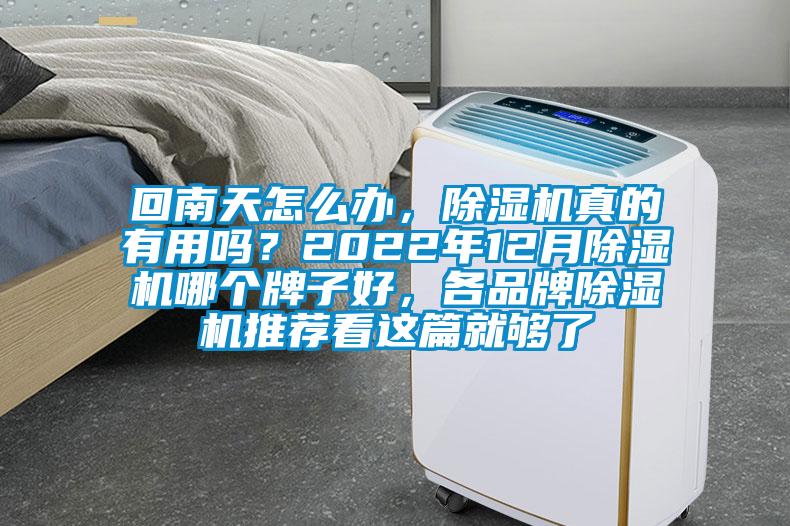 回南天怎么辦，除濕機(jī)真的有用嗎？2022年12月除濕機(jī)哪個(gè)牌子好，各品牌除濕機(jī)推薦看這篇就夠了