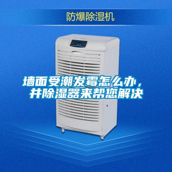 墻面受潮發(fā)霉怎么辦，東井除濕器來幫您解決