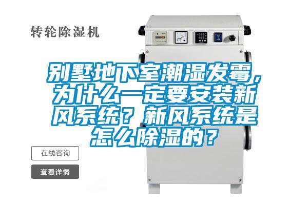 別墅地下室潮濕發(fā)霉，為什么一定要安裝新風(fēng)系統(tǒng)？新風(fēng)系統(tǒng)是怎么除濕的？