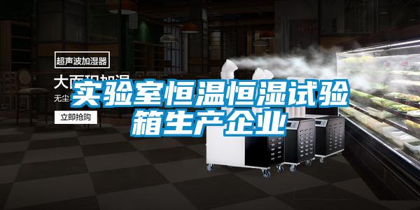 實(shí)驗(yàn)室恒溫恒濕試驗(yàn)箱生產(chǎn)企業(yè)