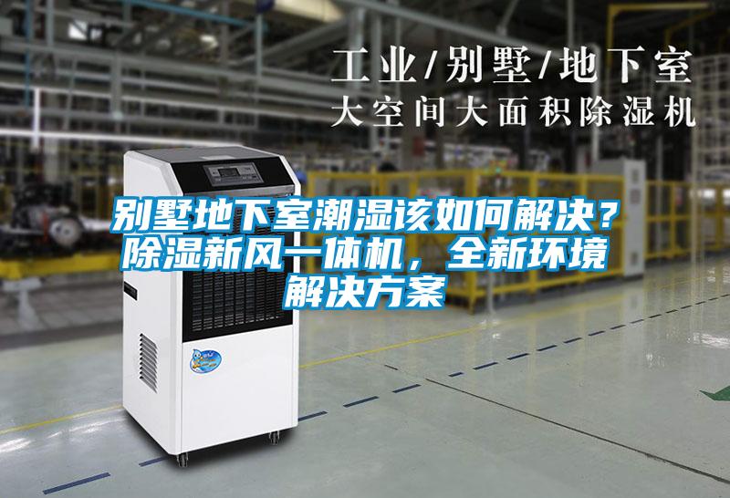 別墅地下室潮濕該如何解決？除濕新風(fēng)一體機(jī)，全新環(huán)境解決方案
