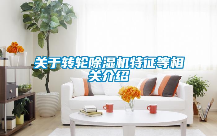 關于轉(zhuǎn)輪除濕機特征等相關介紹