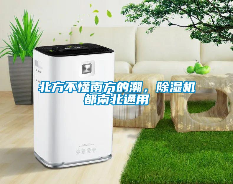 北方不懂南方的潮，除濕機(jī)都南北通用