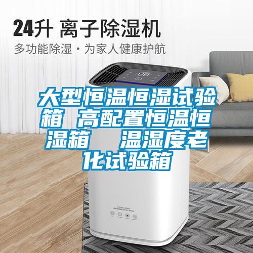 大型恒溫恒濕試驗(yàn)箱 高配置恒溫恒濕箱 溫濕度老化試驗(yàn)箱