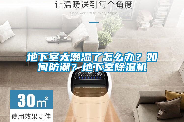 地下室太潮濕了怎么辦？如何防潮？地下室除濕機(jī)