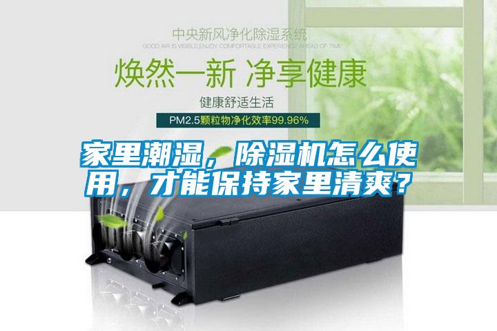 家里潮濕，除濕機(jī)怎么使用，才能保持家里清爽？