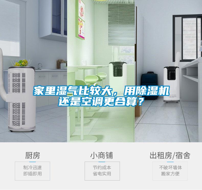 家里濕氣比較大，用除濕機(jī)還是空調(diào)更合算？