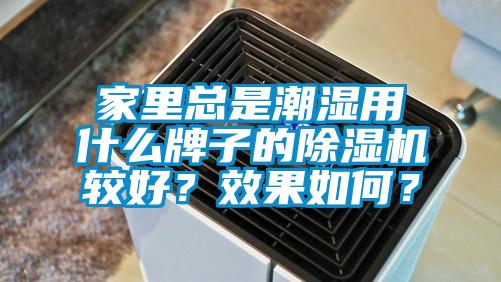 家里總是潮濕用什么牌子的除濕機較好？效果如何？