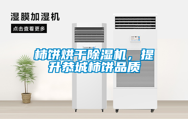 柿餅烘干除濕機，提升恭城柿餅品質(zhì)