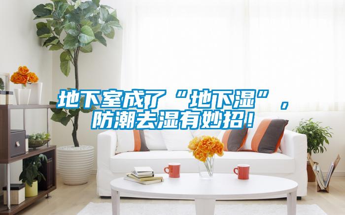 地下室成了“地下濕”，防潮去濕有妙招！