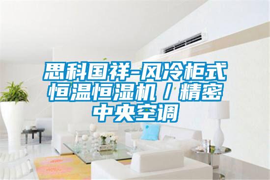 思科國(guó)祥-風(fēng)冷柜式恒溫恒濕機(jī)/精密中央空調(diào)