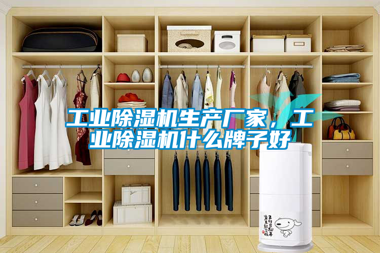 工業(yè)除濕機(jī)生產(chǎn)廠家，工業(yè)除濕機(jī)什么牌子好