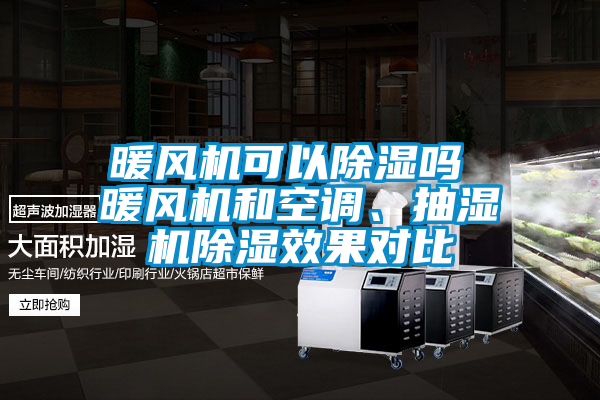 暖風(fēng)機(jī)可以除濕嗎 暖風(fēng)機(jī)和空調(diào)、抽濕機(jī)除濕效果對(duì)比
