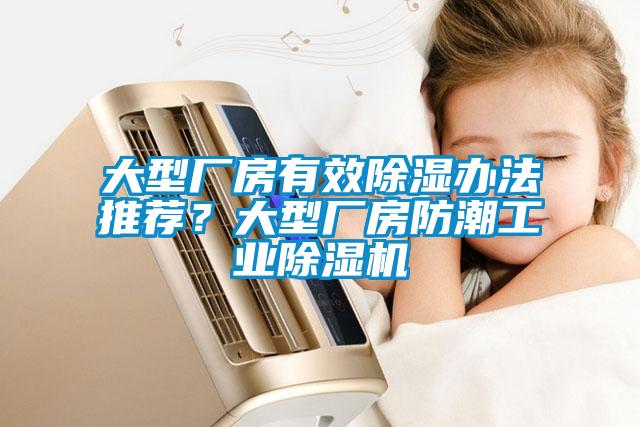 大型廠房有效除濕辦法推薦？大型廠房防潮工業(yè)除濕機(jī)