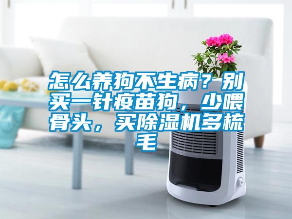 怎么養(yǎng)狗不生病？別買一針疫苗狗，少喂骨頭，買除濕機(jī)多梳毛